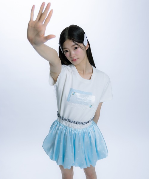 monepine(モネピネ)の「collage embroidery Tee/コラージュ刺繍T(Tシャツ/カットソー・レディース・ライトグリーン/ライトブルー・1/2)」の15枚目の写真
