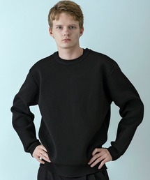 +phenix（プラスフェニックス）の「【WEB・直営店限定】+phenix(プラスフェニックス)HYBRID KNIT LONGSLEEVE PULLOVER ハイブリッド ニット ロングスリーブ プルオーバー（軽量/通気性）（ニット/セーター）」