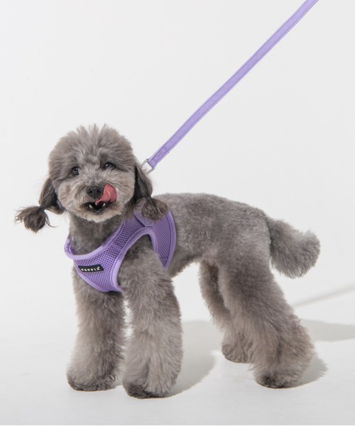 NEW JACK（ニュージャック）の「PUPPIA:パピア トゥートーン リード（リード/ハーネス/首輪・レディース・ブラック/グレー/ベージュ/オレンジ/グリーン/ロイヤルブルー/ワイン/レッド/イエロー/ピンク/スカイブルー/パープル/ネイビー/ライトグレー/ラベンダー・S/L/M）」の20枚目の写真