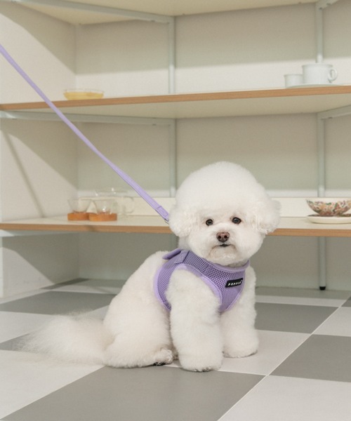 NEW JACK（ニュージャック）の「PUPPIA:パピア トゥートーン リード（リード/ハーネス/首輪・レディース・ブラック/グレー/ベージュ/オレンジ/グリーン/ロイヤルブルー/ワイン/レッド/イエロー/ピンク/スカイブルー/パープル/ネイビー/ライトグレー/ラベンダー・S/L/M）」の21枚目の写真