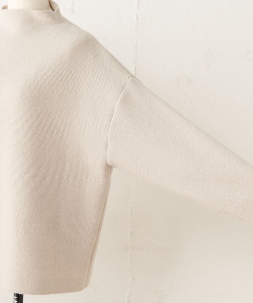 BEARDSLEY（ビアズリー）の「ニットフレアスカートとセットアップで着られる ボトルネックプルオーバー（ニット/セーター・レディース・ベージュ/グレー・FREE）」の17枚目の写真