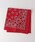 HAV-A-HANKinonN j́uHAV-A-HANKBANDANNA o_iio_i/XJ[tjvbbh