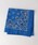 HAV-A-HANKinonN j́uHAV-A-HANKBANDANNA o_iio_i/XJ[tjvbCu[