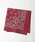 HAV-A-HANKinonN j́uHAV-A-HANKBANDANNA o_iio_i/XJ[tjvbCbh