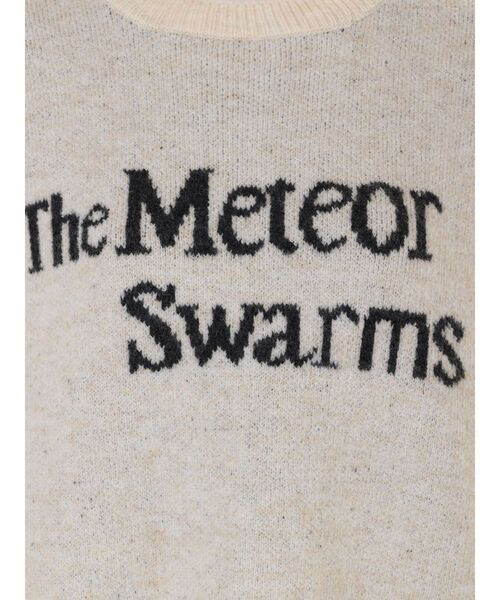 Ungrid(アングリッド)の「【WEB限定】ロゴルーズニット(ニット/セーター・レディース・ネイビー/チャコールグレー/アイボリー/ピンク・FREE)」の11枚目の写真