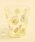 BREEZE�i�u���[�Y�j�́u�y��ۂ���ށz�h�b�g�^���u���[�i�O���X/�}�O�J�b�v/�^���u���[�j�v�b�C�G���[