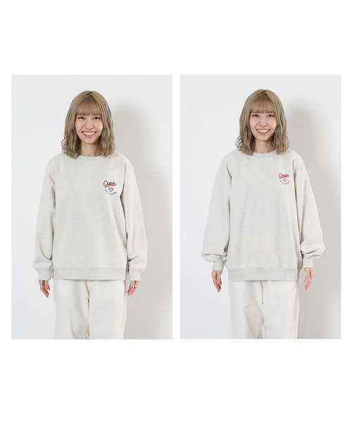 devirock(デビロック)の「大人 デビラボ プリント 裏起毛トレーナー(スウェット・レディース・ブラック系その他/ホワイト系その他2/ベージュ系その他3/グレー系その他/ブラック系その他2/ホワイト系その他/ベージュ系その他/ベージュ系その他2/パープル系その他/グレー系その他2・M/L/LL)」の20枚目の写真