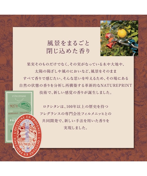 L'OCCITANE(ロクシタン)の「【数量限定】ルミンシアナ アーモンド リキッドハンドソープ 300mL(ハンドソープ・レディース・その他・FREE)」の3枚目の写真