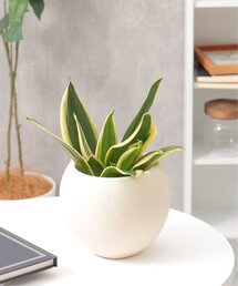 notch.（ノッチ）の「モノクロームポールポット M（フラワーベース）」