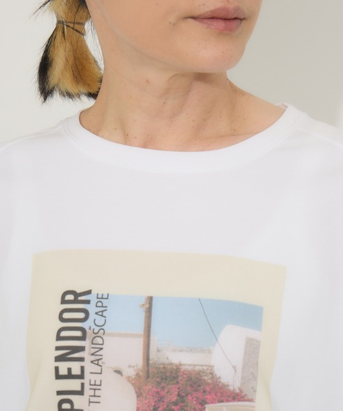 Paradise Picnic（パラダイスピクニック）の「Dignite Collier ワイドフォトT（Tシャツ/カットソー・レディース・ホワイト/チャコールグレー・FREE）」の13枚目の写真