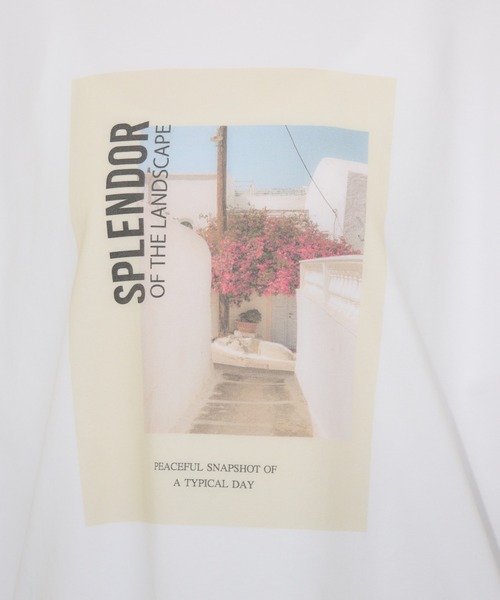 Paradise Picnic（パラダイスピクニック）の「Dignite Collier ワイドフォトT（Tシャツ/カットソー・レディース・ホワイト/チャコールグレー・FREE）」の15枚目の写真