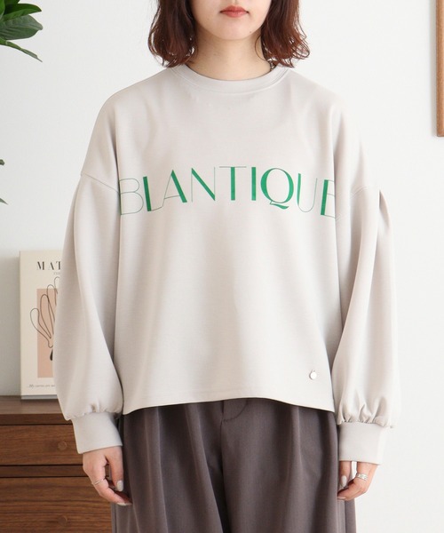EGLANTINE(エグランティーヌ)の「EGLANTINE フロッキー加工ロゴカットソー 長袖ダンボールプルオーバー(Tシャツ/カットソー・レディース・杢グレー/ネイビー/サンドベージュ/カーキ・40)」の21枚目の写真