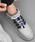 floristit[Xgj́uy΂ȂCRzAWX^[tX|[eBCЂ2{Zbgi1jiV[Y/G݁jvblCr[n1