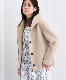 INDIVI(CfBB)́yy₩^zE[V[gg`R[g(g`R[g)