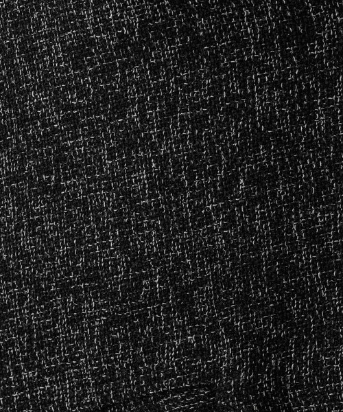 abahouse mavie(アバハウスマヴィ)の「ツイードフリンジベスト(ベスト・レディース・ライトグレー/ブラック・フリー)」の17枚目の写真