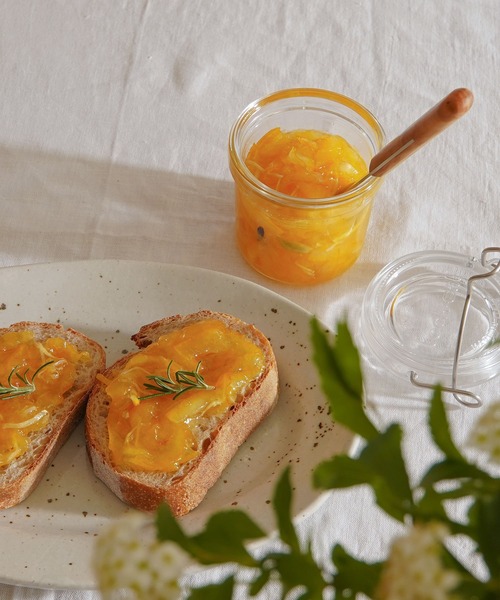 Homeland（ホームランド）信楽焼 オーバル皿 20cm T.Cオリジナル（食器