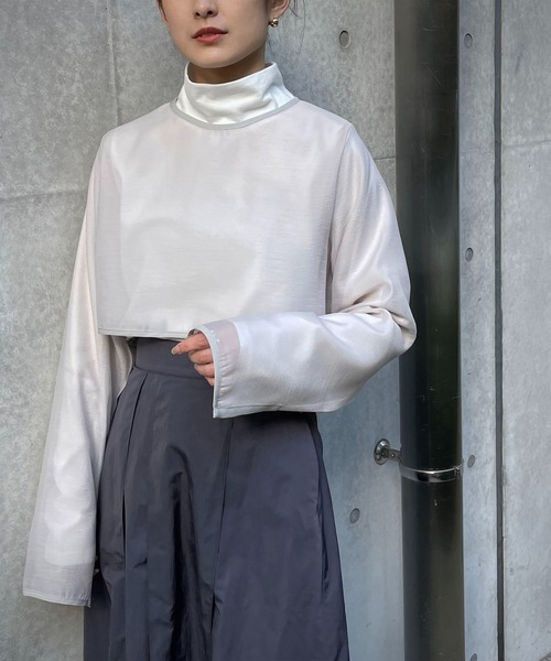 &g'aime(アンジェム)の「【&g'aime】シアーレイヤードトップス/2piece(シャツ/ブラウス・レディース・ブラック/ライトグリーン/グレイッシュベージュ・FREE)」の15枚目の写真