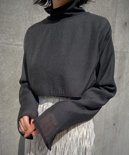 &g'aime(アンジェム)の「【&g'aime】シアーレイヤードトップス/2piece(シャツ/ブラウス・レディース・ブラック/ライトグリーン/グレイッシュベージュ・FREE)」の7枚目の写真