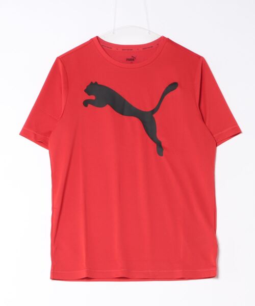 PUMA（プーマ）の「《PUMA》ACTIVE ビッグロゴ Tシャツ（Tシャツ/カットソー・メンズ・グレー/レッド/ネイビー/ホワイト/ロイヤルブルー/ブラック・S/M/XL/L）」の6枚目の写真