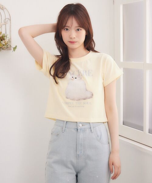 ems excite(エムズエキサイト)の「catロゴプリントTEE(Tシャツ/カットソー・レディース・イエロー/ブルー/オフホワイト・FREE)」の8枚目の写真