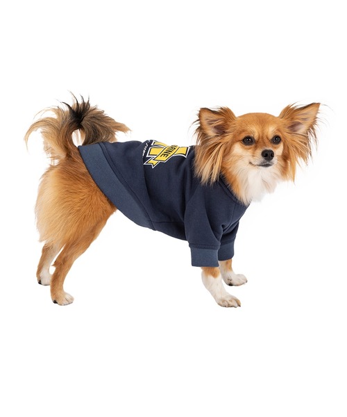 MANDARINE BROTHERS（マンダリンブラザーズ）の「カレッジロゴ