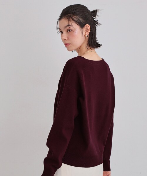 THE SHOP TK （ザ ショップ ティーケー ）の「【すっきりシルエットが叶う】大人のためのVネックニット/毛玉になりにくい/静電気防止/洗濯機OK（ニット/セーター・レディース・ボルドー/ライトグレー/ライトブルー/ブラック/アイボリー・13/12/14）」の19枚目の写真