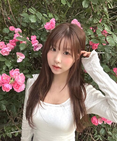 DNSR WOMEN(ディーエヌエスアールウーマン)の「エアリーUネックロングスリーブホワイト(Tシャツ/カットソー・レディース・その他・OS)」の3枚目の写真