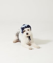 AOPT（アオプト）の「DIAMOND BABY ALPACA BONNET - NAVY（ペットウェア）」
