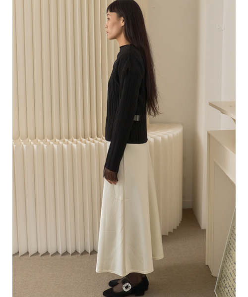 Sorry,Too Much Love(ソーリートゥーマッチラブ)の「Sheer Pleated Mesh High Neck Top_Black(その他トップス・レディース・その他・FREE)」の3枚目の写真