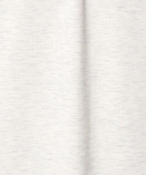 THE NORTH FACE(ザノースフェイス)の「<THE NORTH FACE>ヒストリカル ロゴ ショートスリーブ Tシャツ(Tシャツ/カットソー・メンズ・ライトグレー/ブラック/ホワイト・M/L/XL)」の19枚目の写真