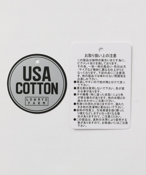 LOWRYS FARM（ローリーズファーム）の「ピグメントキリカエＳＳ　947810（Tシャツ/カットソー・レディース・チャコールグレー/パープル/オレンジ/グリーン/アイボリー・FREE）」の19枚目の写真