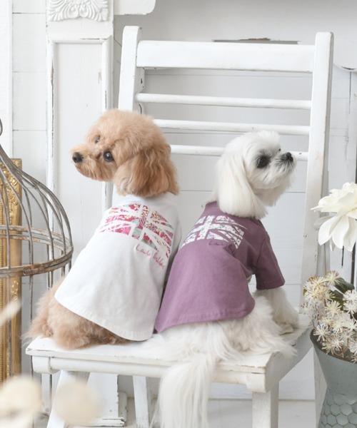 LAURA ASHLEY(ローラアシュレイ)の「LAURA ASHLEY/ユニオンプリントハイネックTシャツ(ペットウェア・レディース・ホワイト/パープル・2XS/XS/S/L/M/2M/2L)」の3枚目の写真