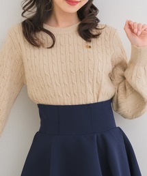 ロゴプレートケーブルNT