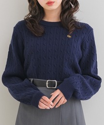 ロゴプレートケーブルNT