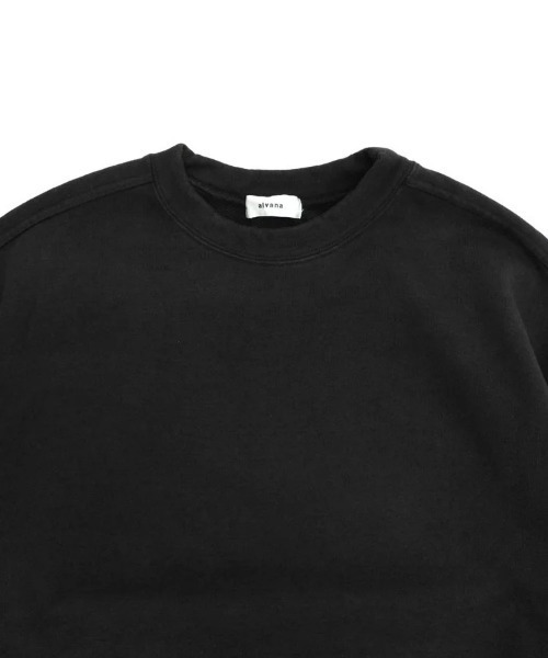 alvana(アルヴァナ)の「【alvana】MOSSIVE P.O(Tシャツ/カットソー・メンズ・ブルー系その他/レッド/ナチュラル/ブラック・3/4)」の9枚目の写真