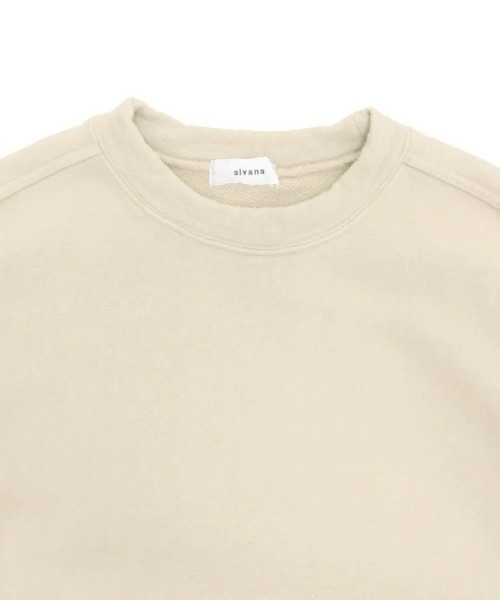 alvana(アルヴァナ)の「【alvana】MOSSIVE P.O(Tシャツ/カットソー・メンズ・ブルー系その他/レッド/ナチュラル/ブラック・3/4)」の17枚目の写真