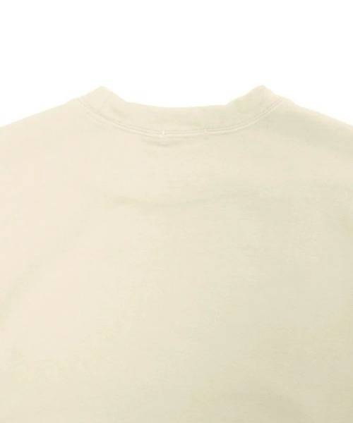 alvana(アルヴァナ)の「【alvana】MOSSIVE P.O(Tシャツ/カットソー・メンズ・ブルー系その他/レッド/ナチュラル/ブラック・3/4)」の22枚目の写真
