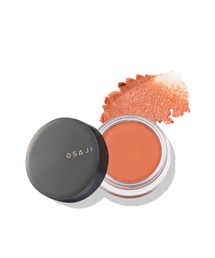 OSAJI | オサジ ニュアンス フェイスカラー / 2024AUTUMN【数量限定】(チーク)