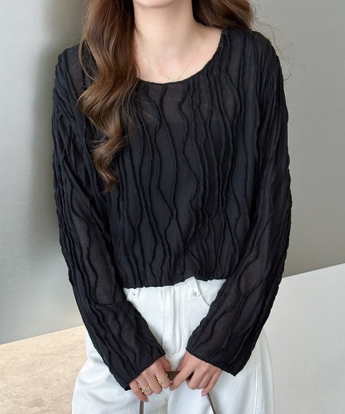 DAY CLOSET(デイ クローゼット)の「パイピング×立体ウェーブ ニュアンス シアー トップス レディース(Tシャツ/カットソー・レディース・アイボリー/ブラック/ライトブラウン・FREE)」の10枚目の写真