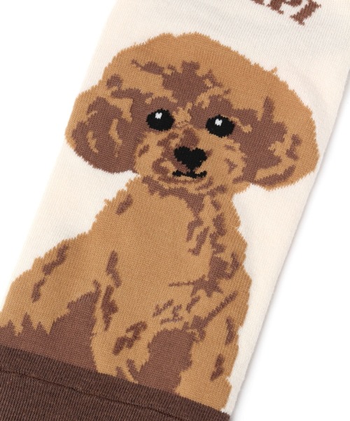 repipi armario（レピピ アルマリオ）の「ワンニャンソックス（ソックス/靴下・キッズ・ホワイト/その他4/その他1/その他2/その他3・FREE）」の14枚目の写真