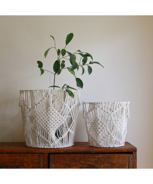 贝壳光 6cm×5m 风听花铃 海外マスキングテープ