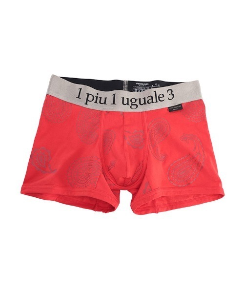 1piu1uguale3 RELAX(ウノピュウノウグァーレトレリラックス)の「1PIU1UGUALE3 RELAX (ウノ ピュ ウノ ウグァーレ トレ リラックス) ペイズリーロゴボクサーパンツ(ボクサーパンツ・メンズ・ブラック/レッド・M/L)」の2枚目の写真