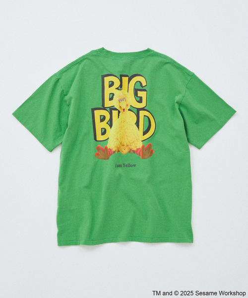 JOURNAL STANロ ウサミミ セサミストリート meets JOURNAL STANDARD 別注プリントTシャツ