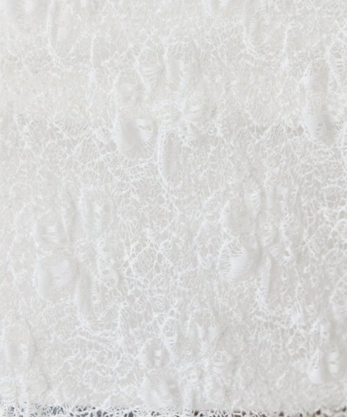 Jena espace merveilleux(ジェナ エスパスメルヴェイユ)の「レースシアーカットソー(Tシャツ/カットソー・レディース・ブラウン/オフホワイト/ブラック・FREE)」の7枚目の写真