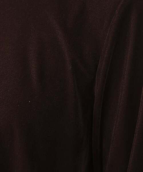 THE SHOP TK （ザ ショップ ティーケー ）の「【程よいシアー感】ベロア袖クシュプルオーバー（Tシャツ/カットソー・レディース・ダークブラウン/アイボリー/ブルー/チャコールグレー・13/12）」の18枚目の写真