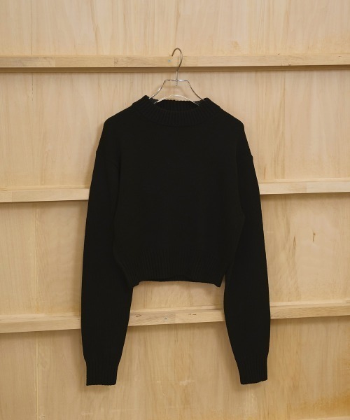 TODAYFUL（トゥデイフル）の「Crewneck Slub Knit（ニット/セーター・レディース・セージグリーン/ブラック/キナリ・FREE）」の17枚目の写真