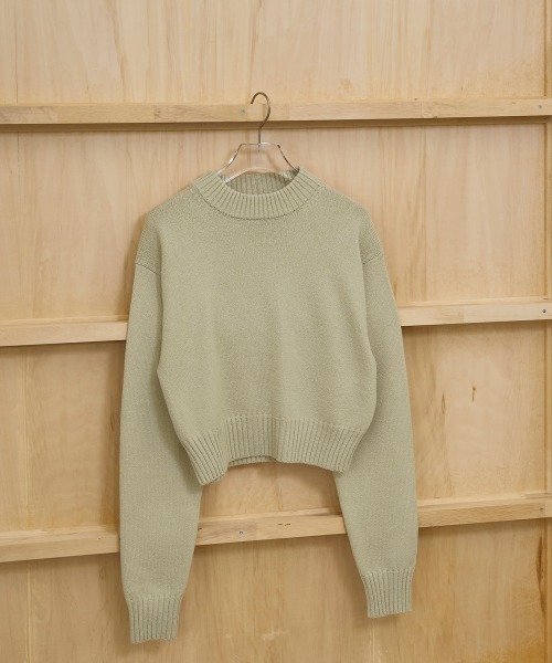 TODAYFUL（トゥデイフル）の「Crewneck Slub Knit（ニット/セーター・レディース・セージグリーン/ブラック/キナリ・FREE）」の18枚目の写真