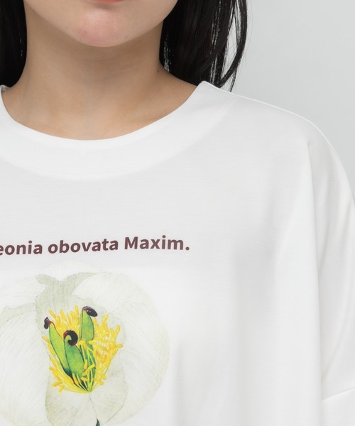 meeny miny(ミーニーマイニー)の「【京都府立植物園】ベニバナヤマシャクヤクTシャツ(Tシャツ/カットソー・レディース・ホワイト/ブラック・MEDIUM)」の13枚目の写真