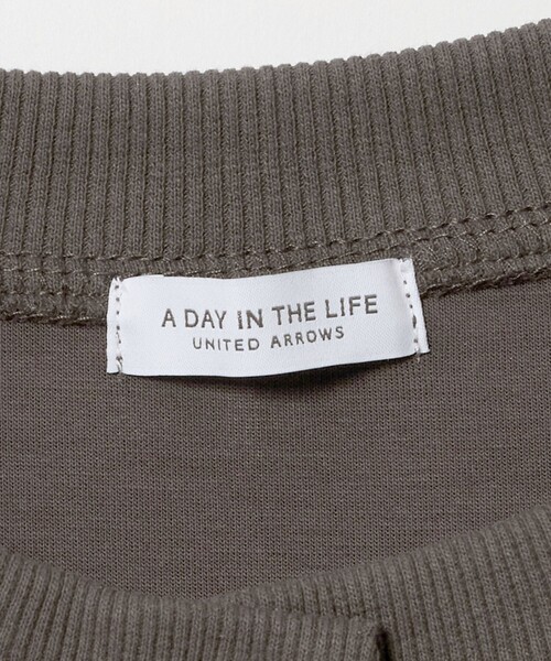 A DAY IN THE LIFE UNITED ARROWS(アデイインザライフユナイテッドアローズ)の「ダンボールニット クルーネックカーディガン <A DAY IN THE LIFE>(カーディガン/ボレロ・レディース・ダークブラウン/レッド/ネイビー/ナチュラル・FREE)」の21枚目の写真