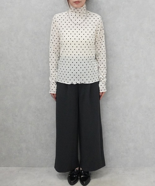 SELECT LEVERY(セレクトリベリー)の「ハイネックシアーフロッキードットプルオーバー(Tシャツ/カットソー・レディース・ブラウン/ライトベージュ/オフホワイト・MEDIUM)」の20枚目の写真